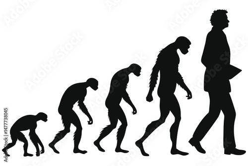 silhouette of a human evolution vector 