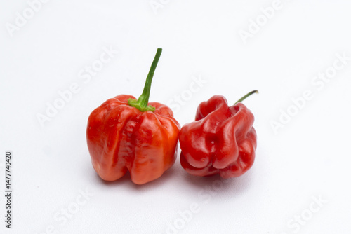 ripened red habanero peppers (capsicum chinense) isolated on white background. Very hot mexican peppers close up