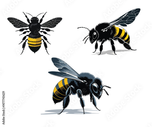 awosame luxurious bees
