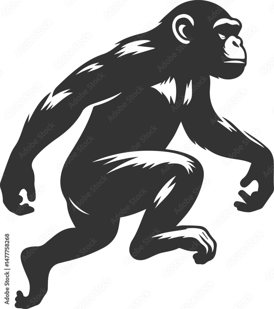 Fototapeta premium Black isolated artwork vector silhouette of a chimpanzee