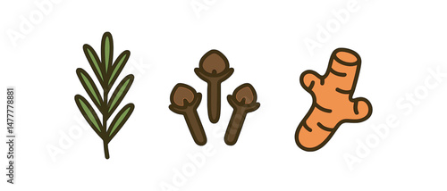 Herbs and spices rosemary, cloves, and ginger illustration on white icon vector illustration isolated