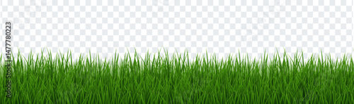 Green Grass Border Isolated Transparent Background