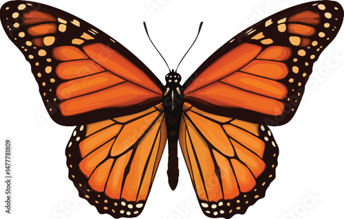"Monarch Butterfly Illustration - Colorful Orange and Black Butterfly Design"