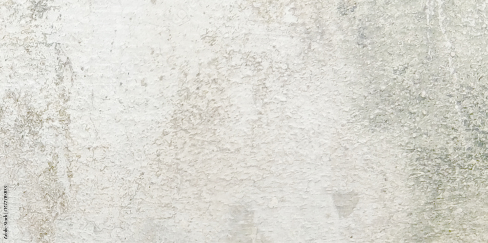 Fototapeta premium White and grey concrete wall grunge texture background old cement wall texture background, banner. 