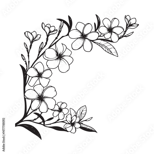 Floral Corner Design Decorative Plumeria Flower Artistic Line Illustration
