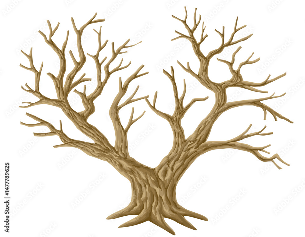 Picture set of big trees without leaves , dead old trees on ,White background ,vector illustration
