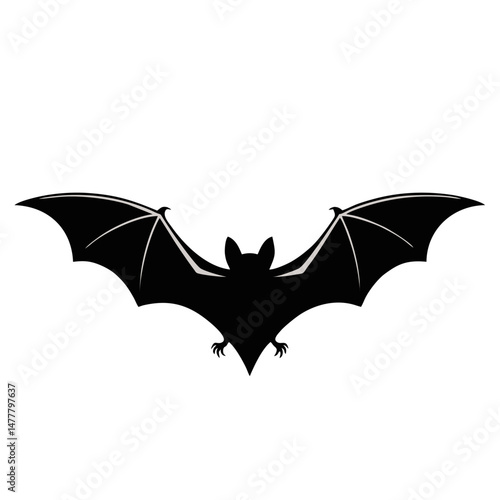 Flying bat silhouetted against night sky

