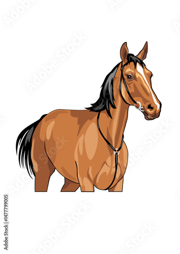Portrait of a brown horse