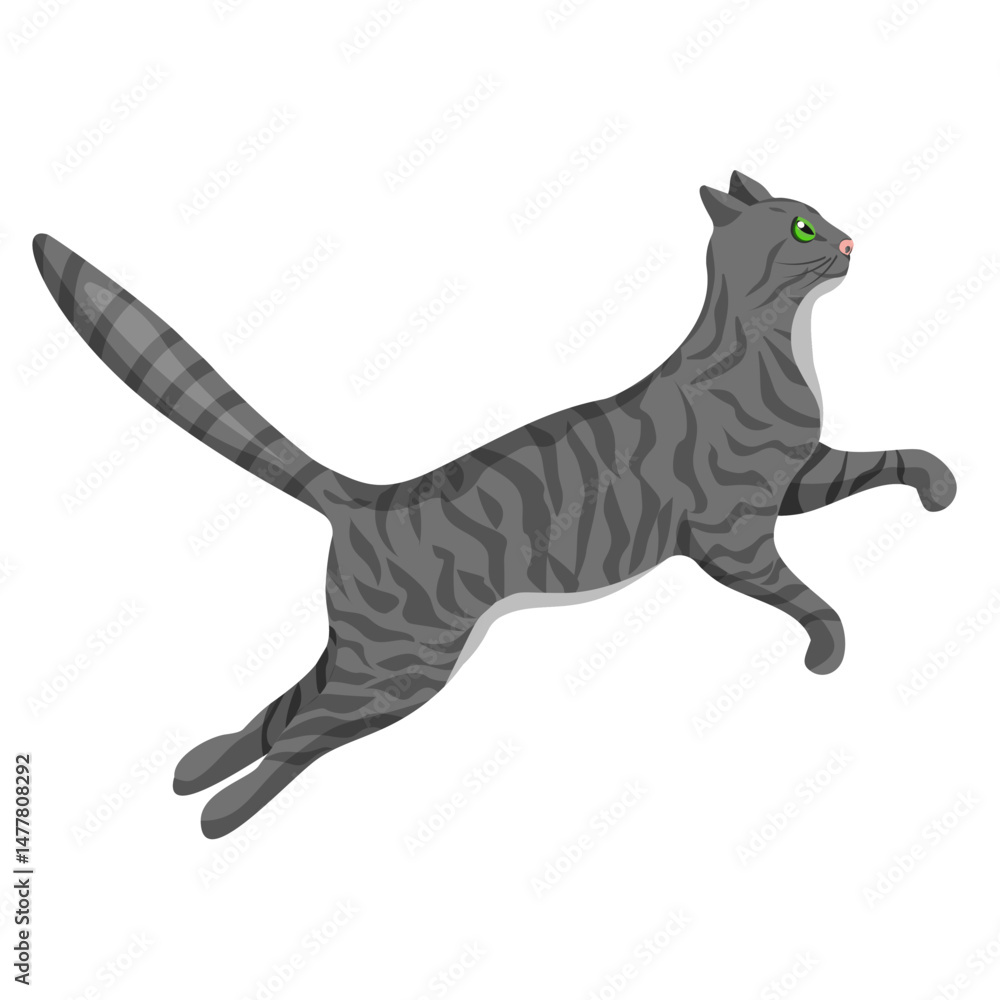 Obraz premium A grey tabby cat jumps, isolated on a white background.Vector illustration of a pet.