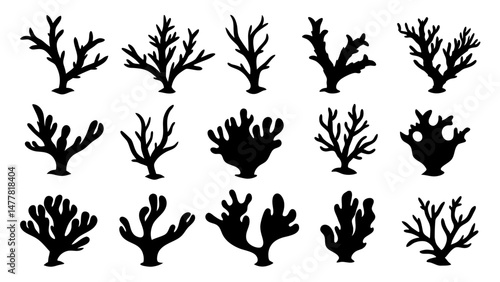 Seaweed silhouettes, coral black icon. Abstract organic shape, underwater plant, matisse element, cute sea doodle.