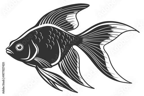 platy fish sihouette black vector