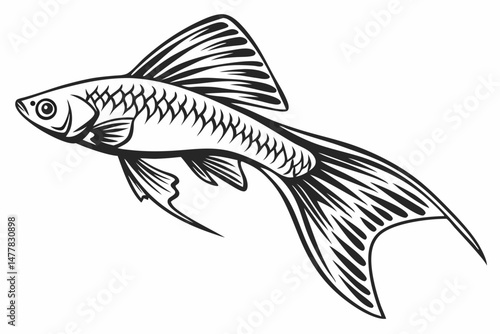 swordtail sihouette black vector