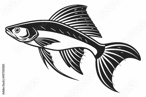 swordtail sihouette black vector