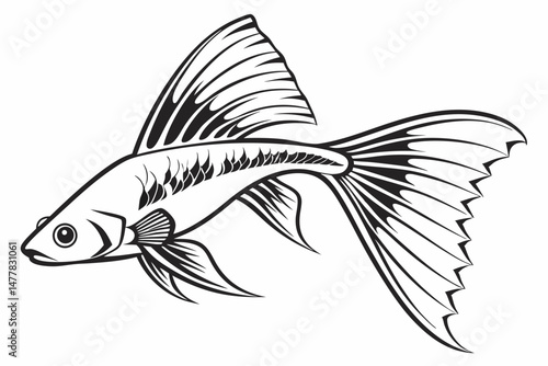 swordtail sihouette black vector