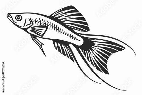 swordtail sihouette black vector