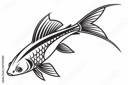 swordtail sihouette black vector