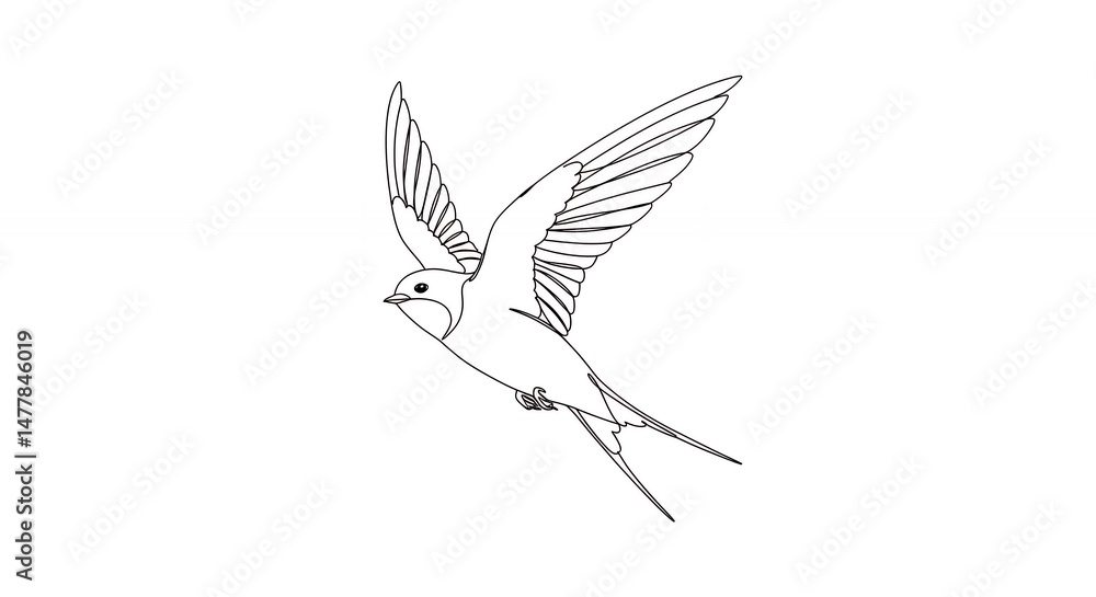 Obraz premium Line art flying bird