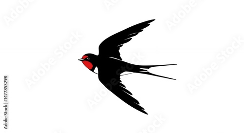 Stylized swallow in flight illustration