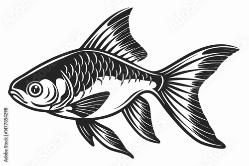 tetra fish sihouette black vector