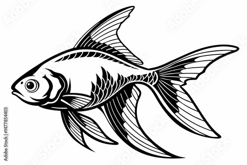 tetra fish sihouette black vector