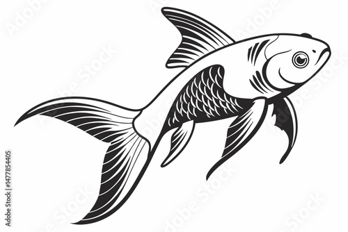tetra fish sihouette black vector