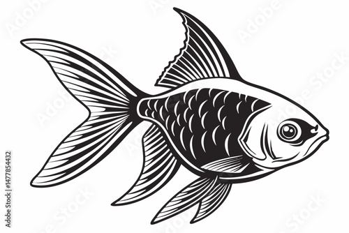 tetra fish sihouette black vector