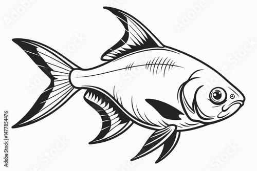 tetra fish sihouette black vector