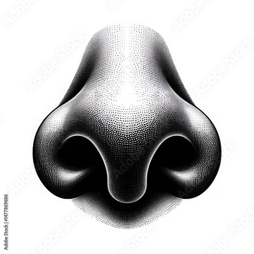 Detailed Dotted Line Illustration of a Nose