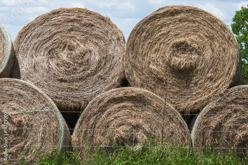Slika na platnu stacked hay round bales used for feeding horses and cattle
