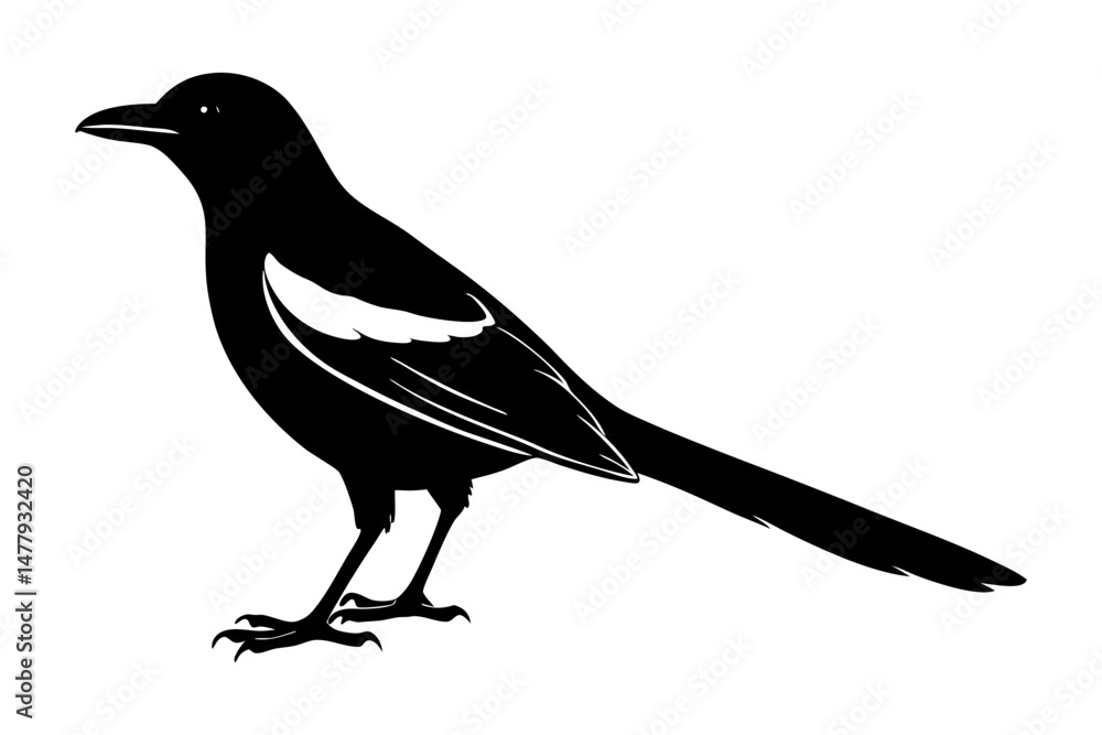 Obraz premium Magpie Silhouette vector