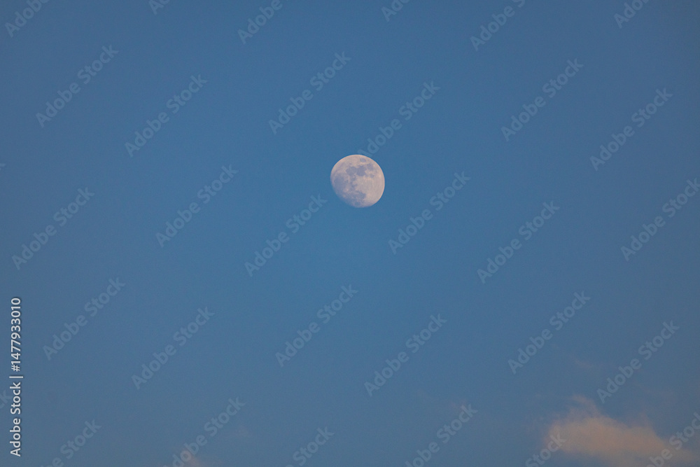 A photo of the moon is shining in the blue sky A photo of the moon is shining in the blue sky
