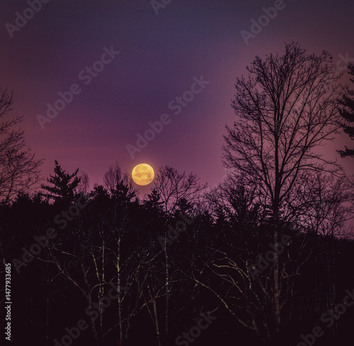 Full Moon Rising Against a Vibrant Purple Sky