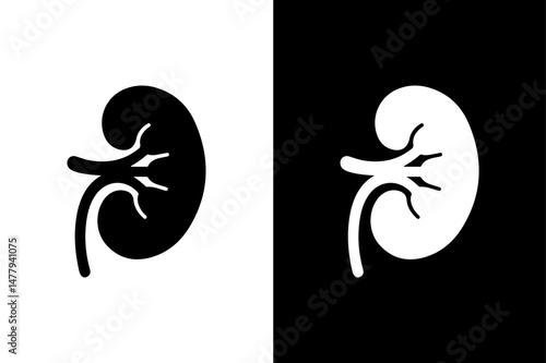 Human Kidney Vector Illustration Black Silhouette on White Background.