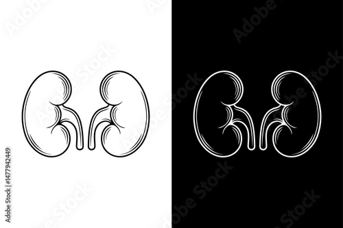Human Kidney Silhouette Minimal Vector Icon in Monochrome Style.