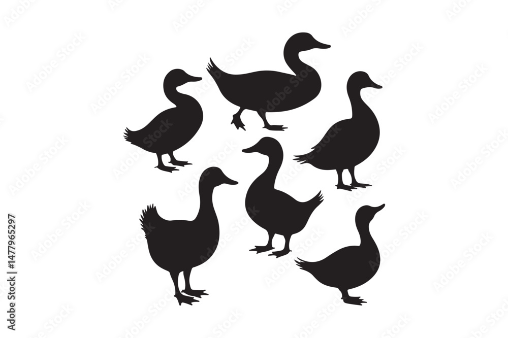 Fototapeta premium Ducks Vector Clipart Black Duck Outlines for Design and Craft
