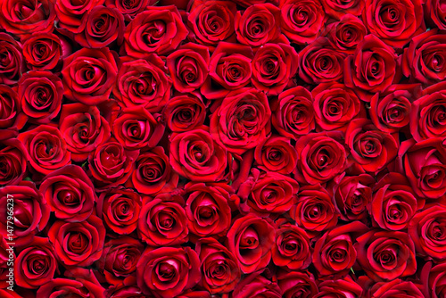 A dense and lush arrangement of bright red roses creating a beautiful floral texture