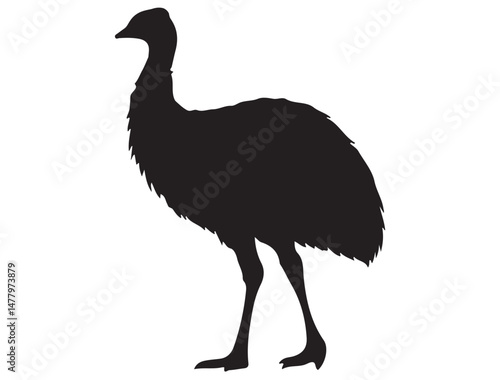 EMU SILHOUETTE WHITE BACKGROUND