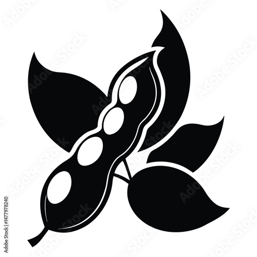 Black and White Soybeans Pod with Leaves Agricultural Crop Illustration