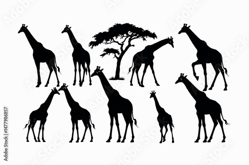 Silhouettes of Giraffes and a Tree in African Savanna