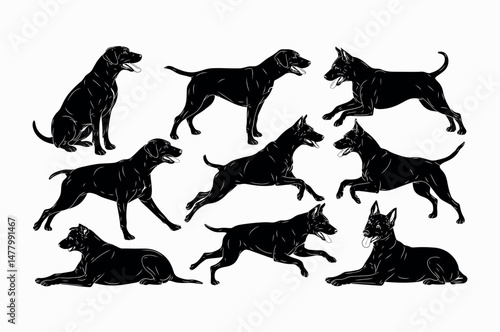 Set of Dog Silhouettes in Various Poses