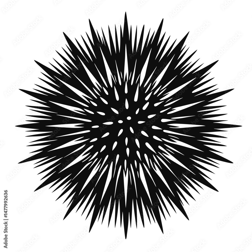 Obraz premium Stylized Black Sea Urchin Silhouette with Spines and Small Spots Illustration