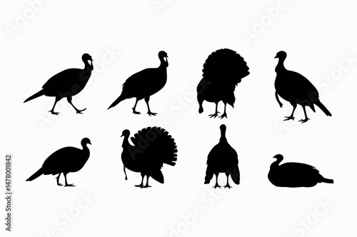 Silhouette Collection of Wild Turkeys