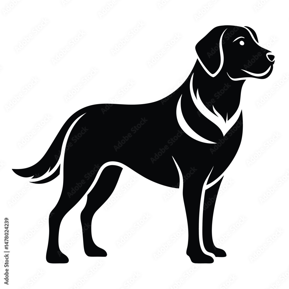 Fototapeta premium Elegant Silhouette of a Standing Black Labrador Retriever with Sleek Lines and Design