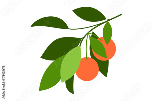 Minimal vector illustration of an orange fruit tree branch with green leaves and ripe oranges. Flat design perfect for packaging, branding, web, and eco-friendly themes. PNG format.