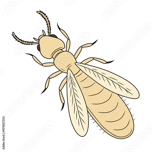 Colored vector illustration of a termite with clear anatomical details, perfect for design, educational books, and digital artwork.