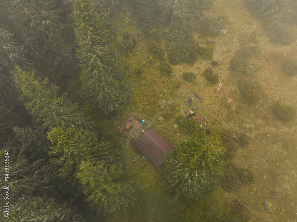 Aerial top view of summer green trees in forest with mountains in Slovakia. Drone