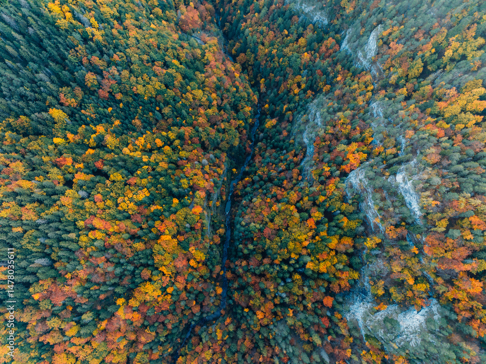 Sunset over Liptov region. Autumn Kvacianska walley deciduous forest view from above landspace, slovakia.
