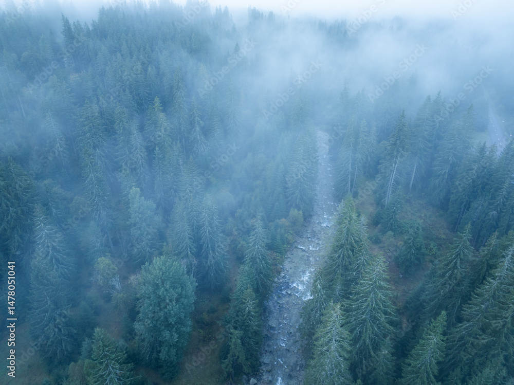 Aerial top view of trees in mist forest with mountain river in Slovakia. Drone