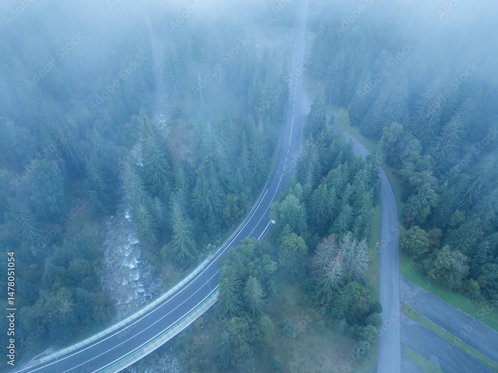 Aerial top view of trees in mist forest with mountain river in Slovakia. Drone