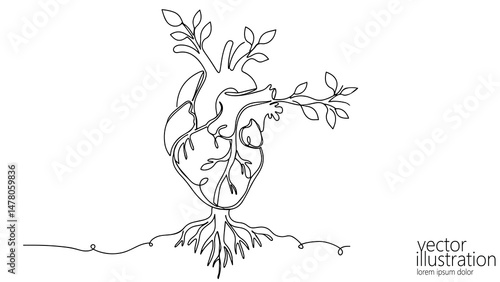 Heart illustration grows with branches leaves. Anatomical heart transformed with roots tree. Healthcare wellness nature related projects. Line art style with clean white background
